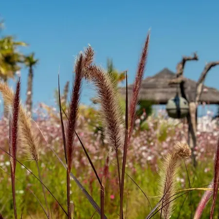 Quinta Dos Caneiros Luxury Ocean Views Walk To Beach Villa